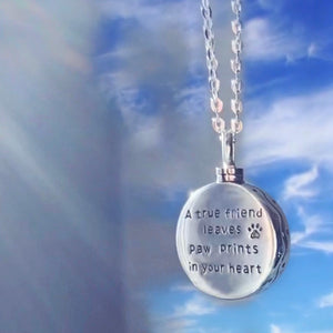 Pet's Forever in My Heart Urn Pendant Necklace